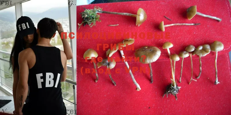 Галлюциногенные грибы Magic Shrooms  Ржев 